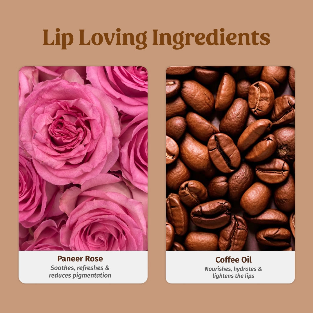 ingredients of coffee lip balm and rose milk lip balm - vilvah x annapoorna