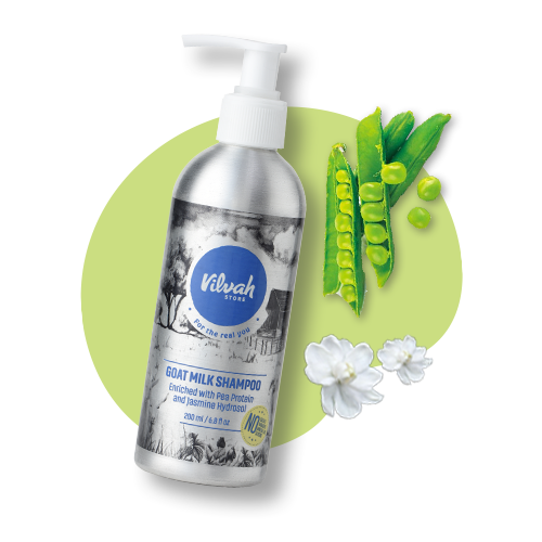 vilvah goat milk shampoo