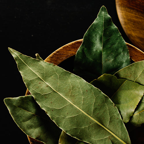 curry leaf oil