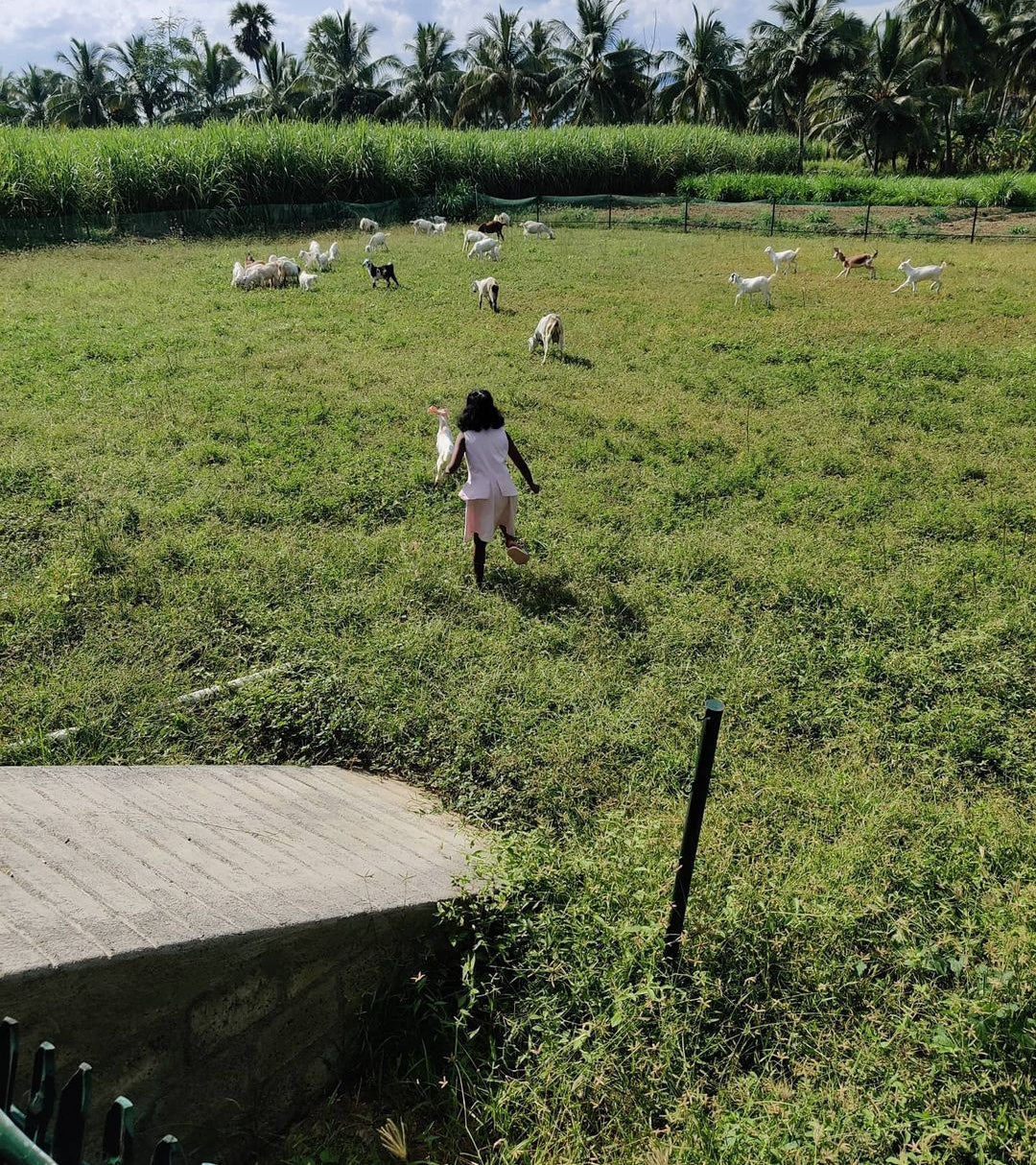 Vilvah Farm