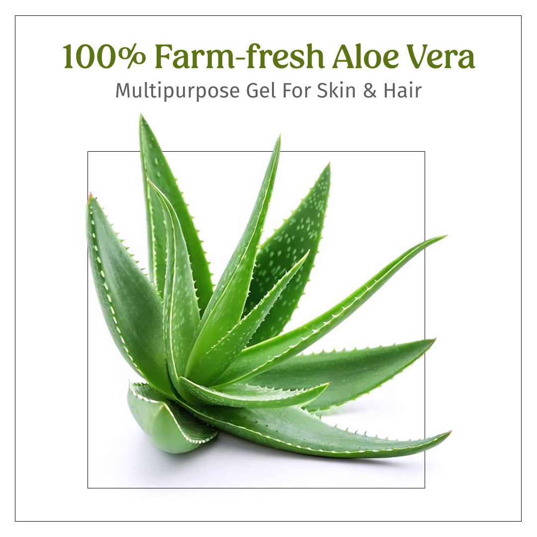 100 farm fresh aloe vera