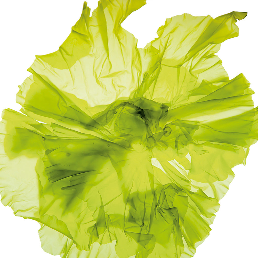 marine algae extract
