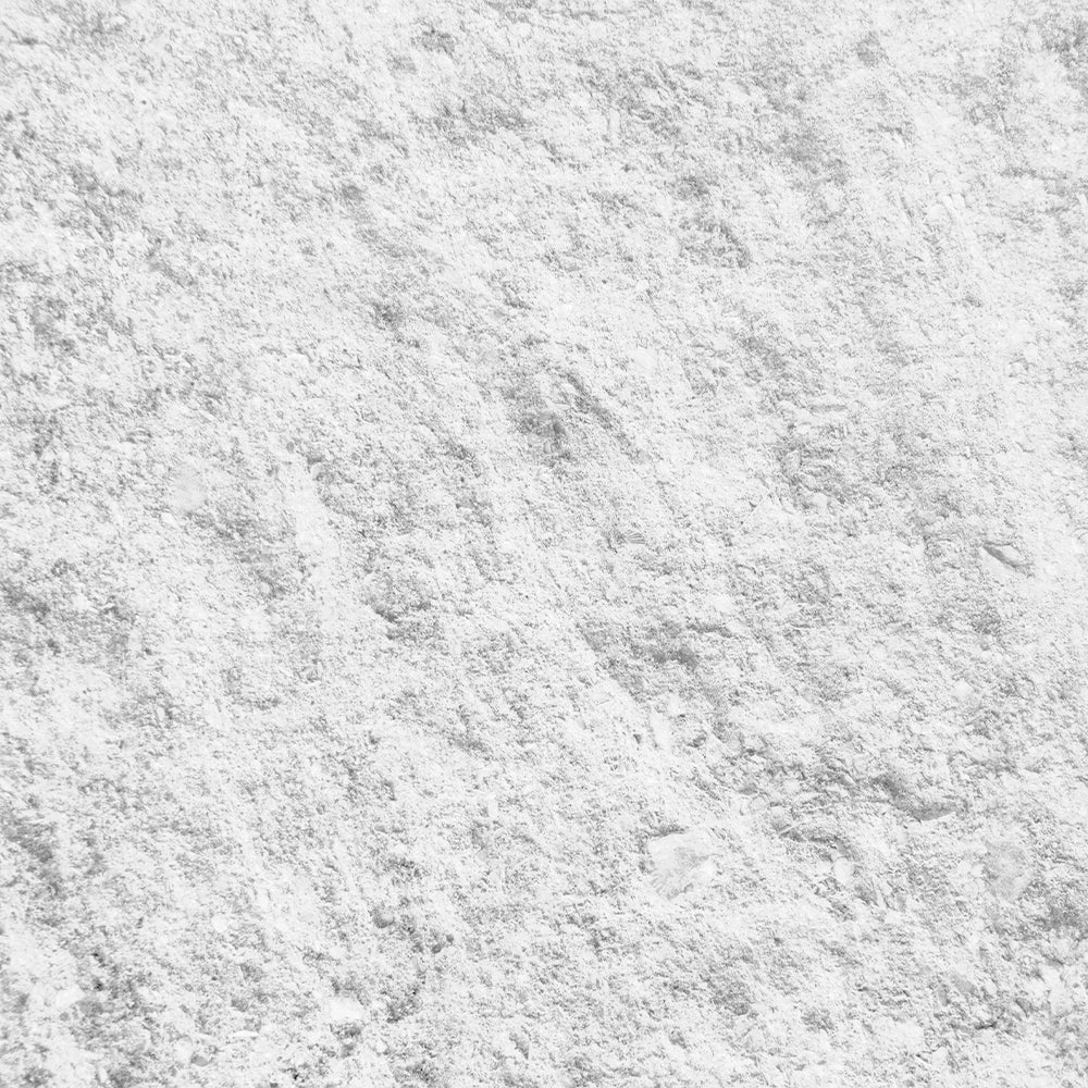 phytelephas aequatorialis seed powder