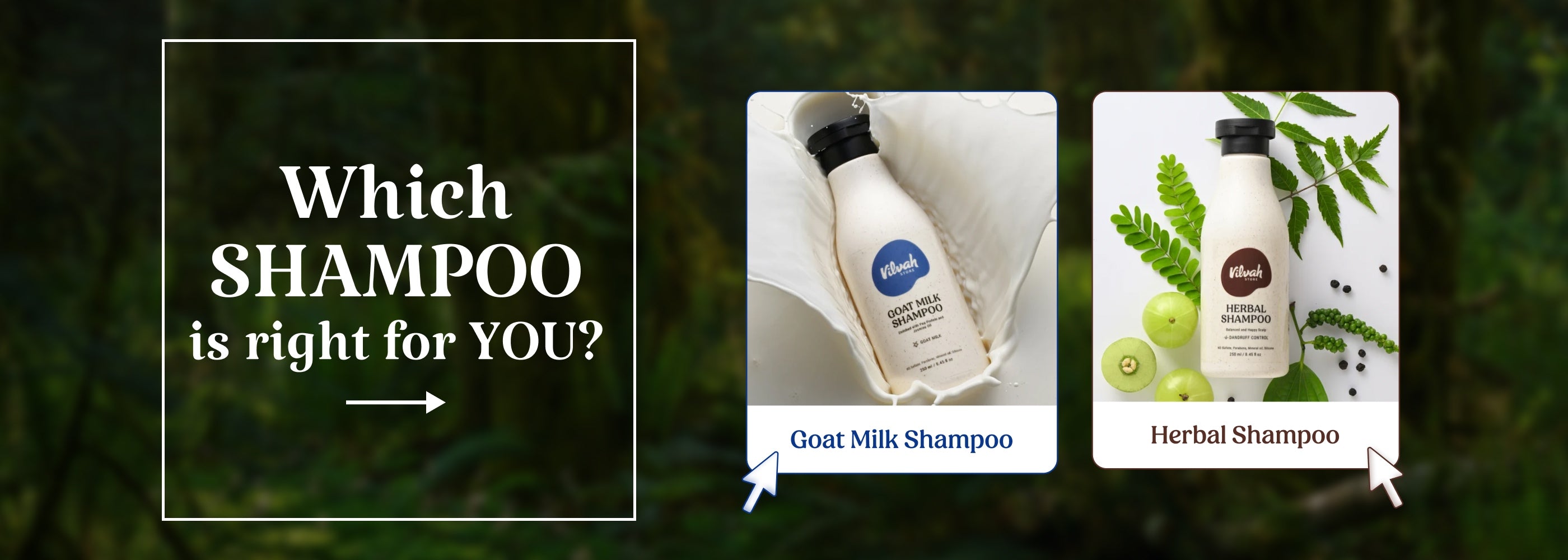 best shampoo for you