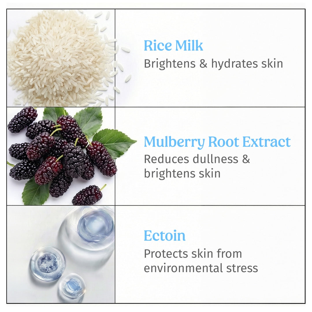 ingredients of vilvah skin finish sunscreen