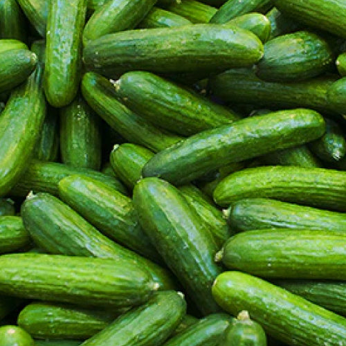 cucumber