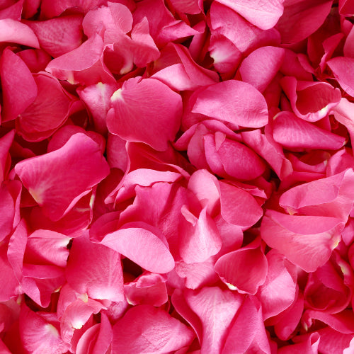 rose petals