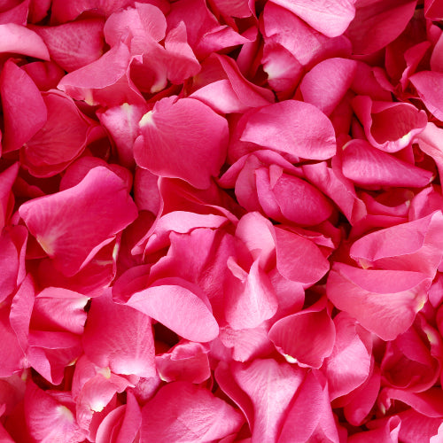 rose petals