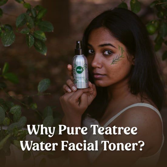 benefits of tea tree water facial toner - Vilvah