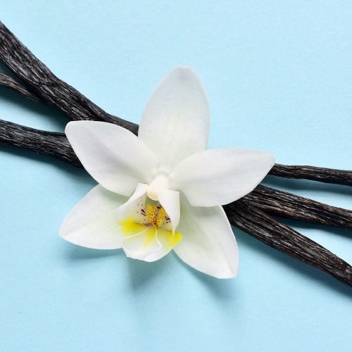 vanilla essential oil