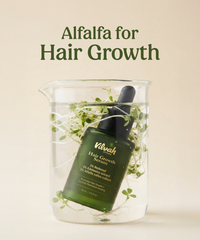 Alfalfa for Hair Growth: Benefits, Uses & What You Need to Know