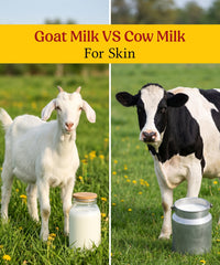 Goat Milk vs Cow Milk for Skin: Which One Your Skin Responds To