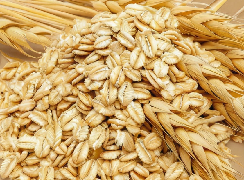 oat milk extract