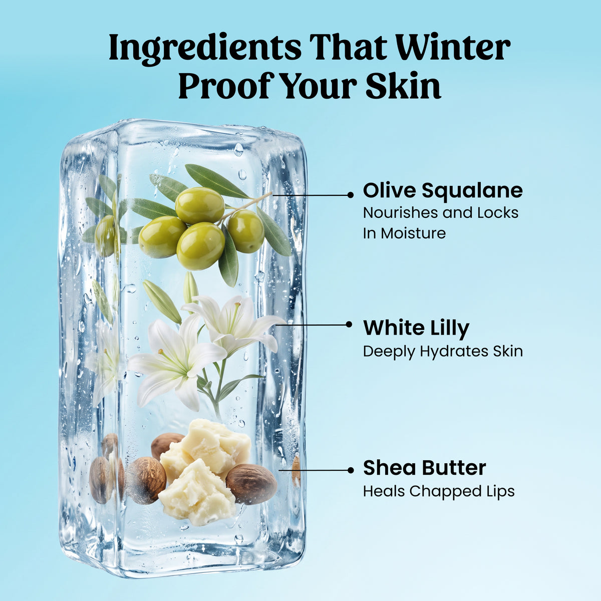 Winter Care Combo