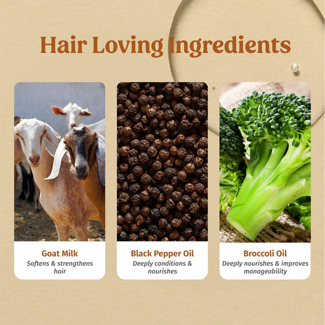 Frizz Free Hair Combo