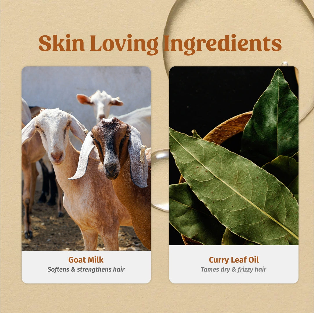 ingredients of Vilvah Shampoo and Hair Serum Combo