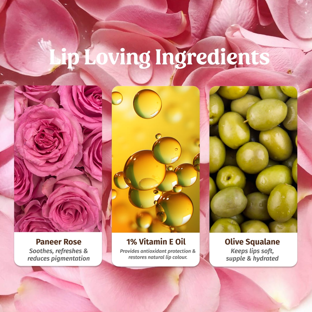 ingredients of rose milk lip balm - vilvah x annapoorna