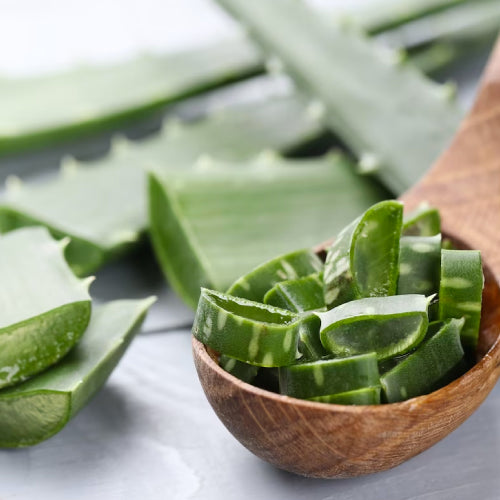 aloe vera