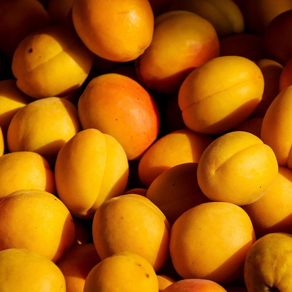 carrot seed, basil and apricot extract