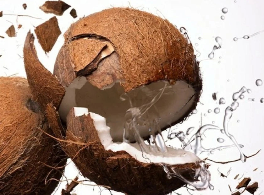 coconut milk