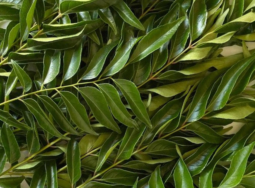 curry leaves