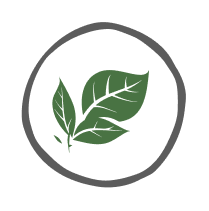 Black Seed Oil