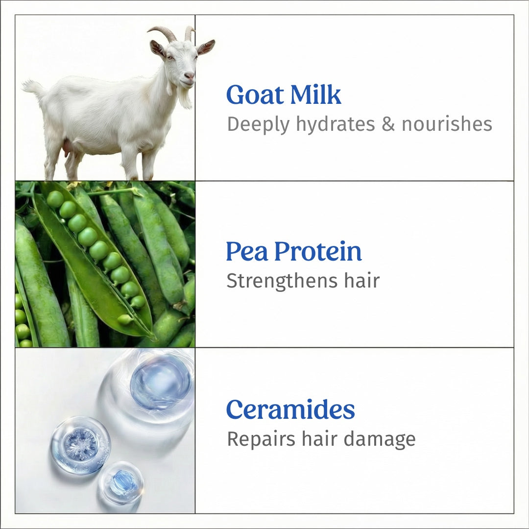 ingredients of vilvah goat milk shampoo