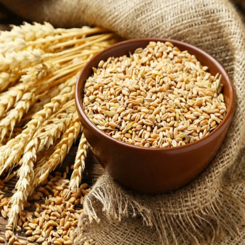 hydrolzed wheat protein