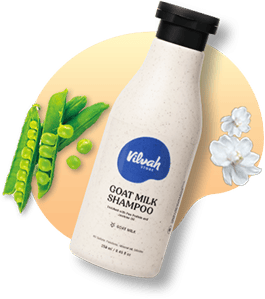 vilvah goat milk shampoo
