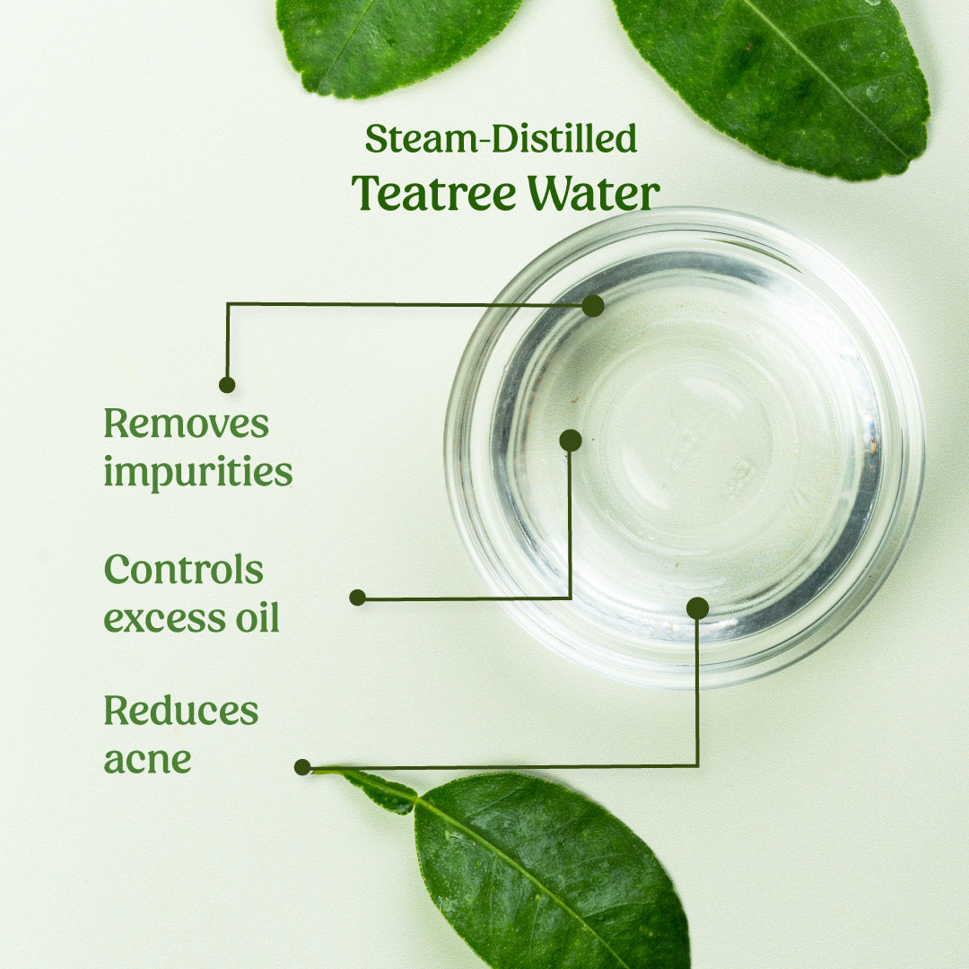 steam distilled tea tree water
