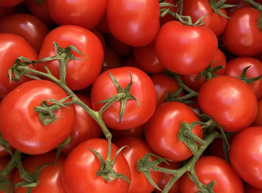 tomato